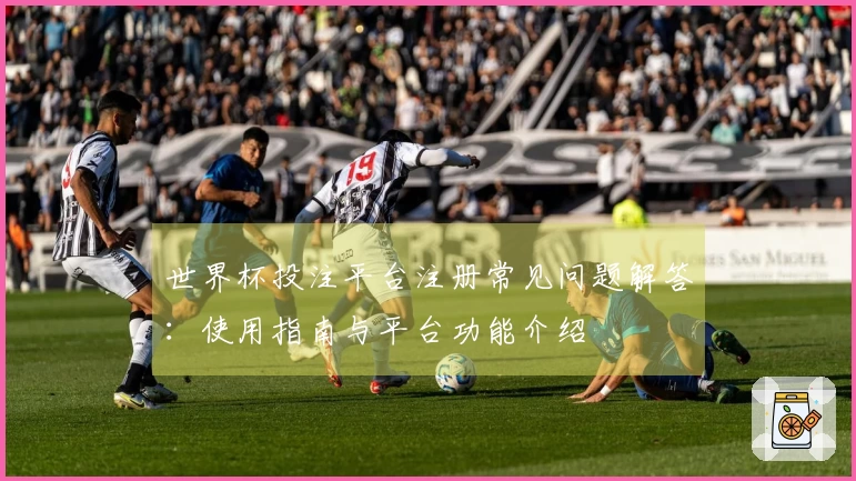 世界杯投注平台注册常见问题解答：使用指南与平台功能介绍