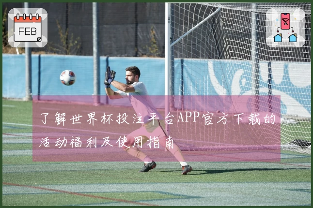 了解世界杯投注平台APP官方下载的活动福利及使用指南